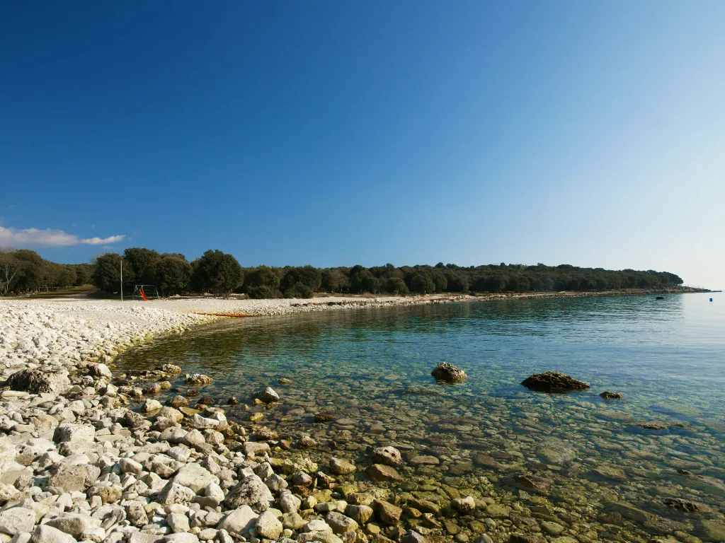 Pazin House with Fenced Saltwater Pool