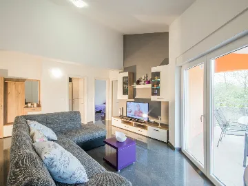 Pazin House with Fenced Saltwater Pool