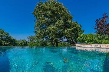 House with Private Pool in Žminj (Up to 6 Guests)