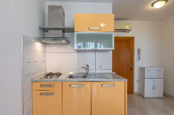 1-Bedroom Apartment for 4 in Ližnjan