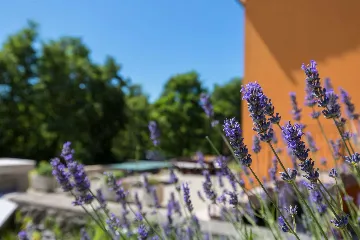 4-Bedroom House with Pool & Private Yard in Labin