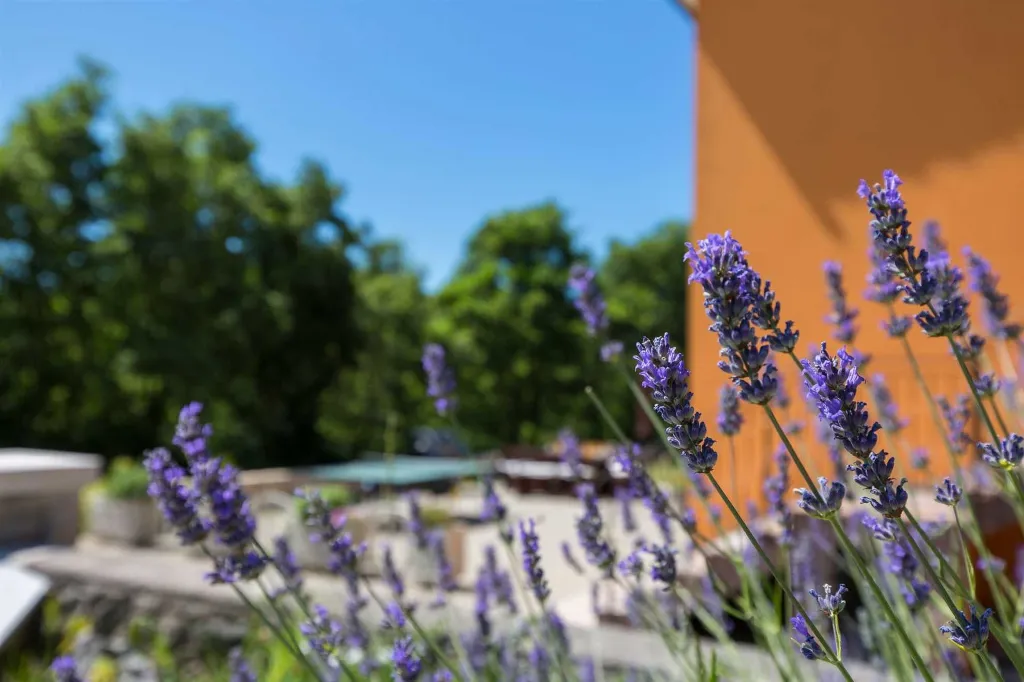 4-Bedroom House with Pool & Private Yard in Labin