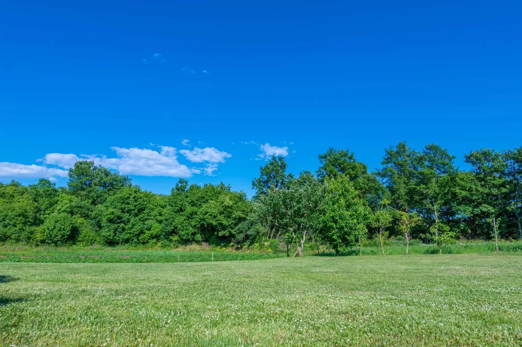 3-Bedroom House with Private Pool in Žminj