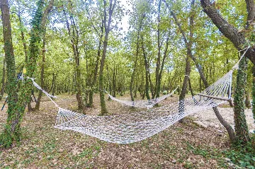 Private 8-Bedroom House for 16 Guests in Divšići