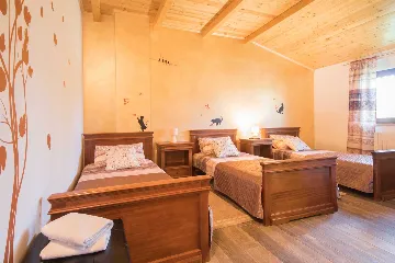 Private 8-Bedroom House for 16 Guests in Divšići