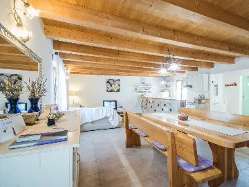 Stone House with Private Pool in Gračišće