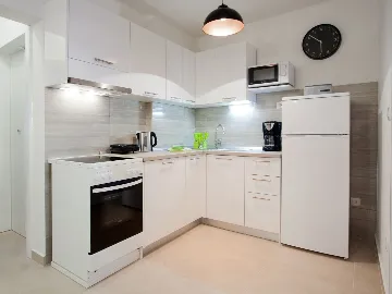 Raša Villa House with Pool for up to 10 Guests