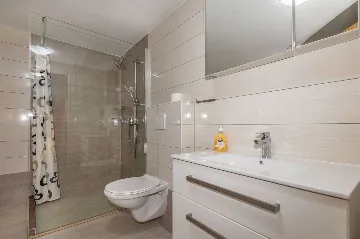 3-Bedroom House with Private Pool in Šušnjevica