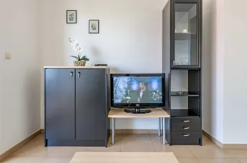 Sea-View Air-Conditioned Apartment in Ližnjan for 4