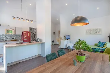 Ground-Floor House with Pool in Nedešćina