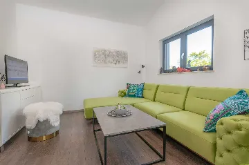 Ground-Floor House with Pool in Nedešćina