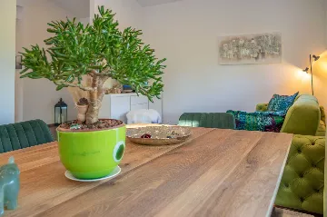 Ground-Floor House with Pool in Nedešćina