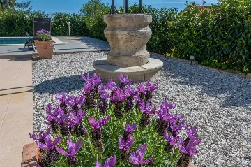 3-Bedroom Villa with Private Pool in Labin
