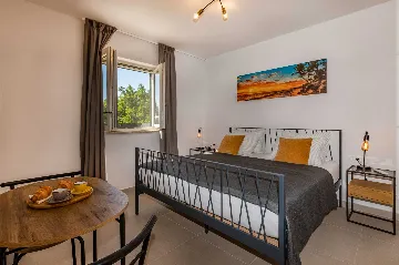 3-Bedroom Villa with Private Pool in Vinež