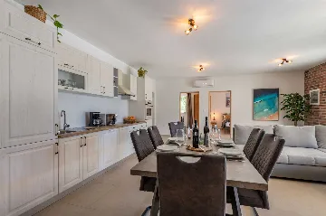 3-Bedroom Villa with Private Pool in Vinež