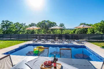 3-Bedroom Villa with Private Pool in Vinež