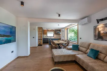 Modern 4-Bedroom Villa in Pićan with Private Garden