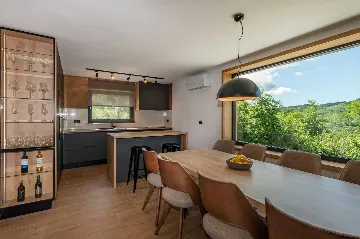 Modern 4-Bedroom Villa in Pićan with Private Garden