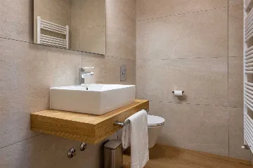 Modern 4-Bedroom Villa in Pićan with Private Garden