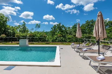 Modern 4-Bedroom Villa in Pićan with Private Garden