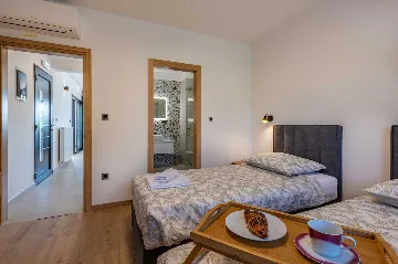 Raša Villa with Private Pool for Up to 18 Guests