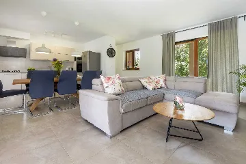 Villa with Private Pool in Krsan for 8 Guests