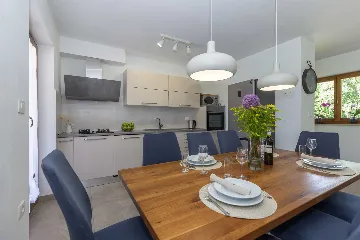 Villa with Private Pool in Krsan for 8 Guests