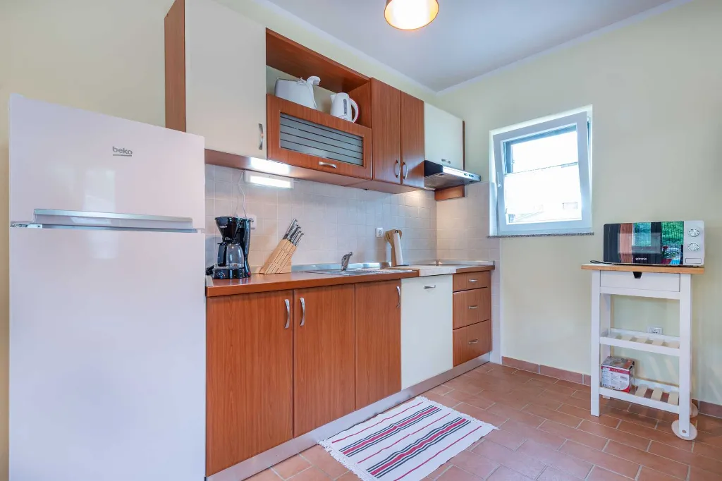 Air-Conditioned Villa with Private Pool near Labin
