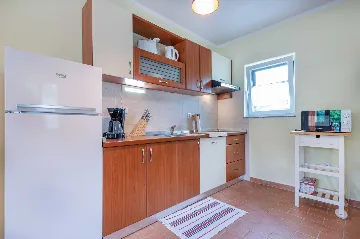 Air-Conditioned Villa with Private Pool near Labin