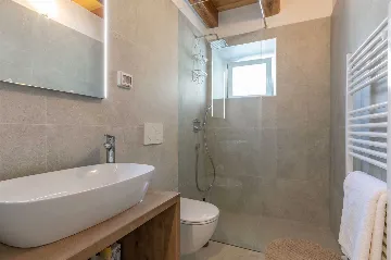 House with Pool and Rooftop Terrace in Pazin