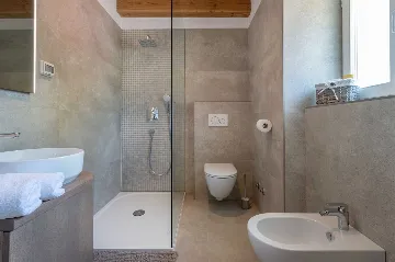 House with Pool and Rooftop Terrace in Pazin