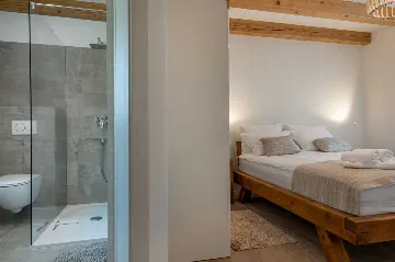 House with Pool and Rooftop Terrace in Pazin