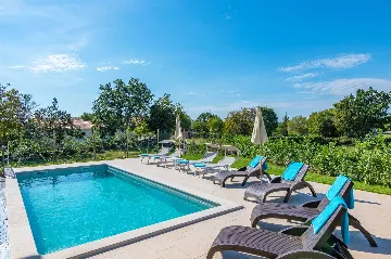 Private Pool Villa in Nedešćina for up to 8