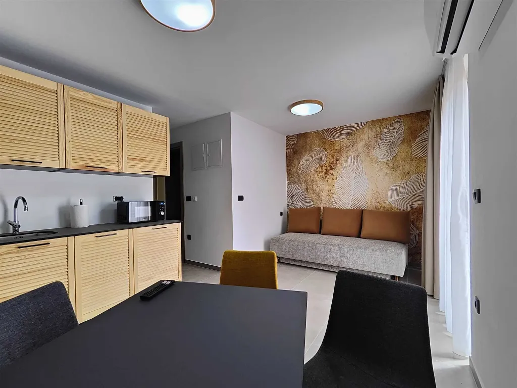 Design One-Bedroom Apartment in Pula Old City