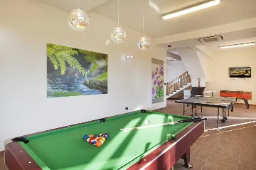 Villa with Private Pool in Karojba