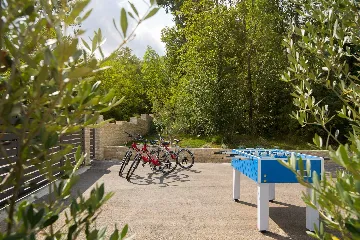 Villa with Private Pool and Sauna in Boljevići