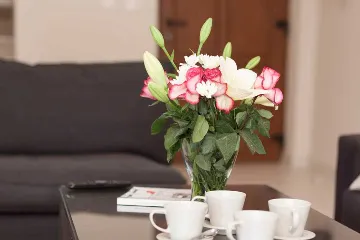 4-Bedroom Villa for 10 Guests in Rojnići