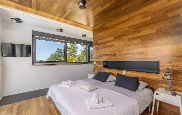 Modern Villa with Private Pool in Višnjan