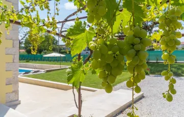 Villa for 8 in Kringa, Central Istria