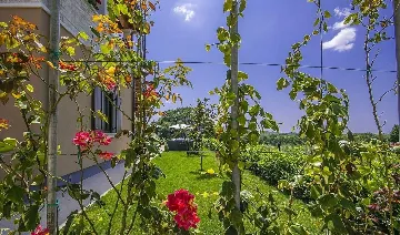 Jakovici Villa for 8 Guests with Pool & Jacuzzi