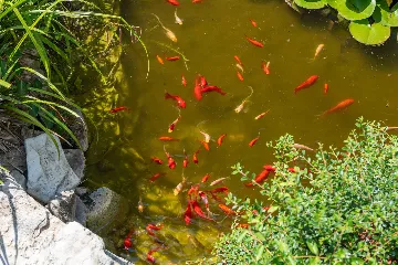 Porec Villa with Pool & Space for 16