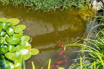 Porec Villa with Pool & Space for 16