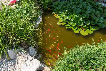 Porec Villa with Pool & Space for 16