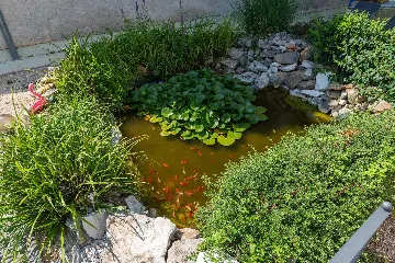 Porec Villa with Pool & Space for 16