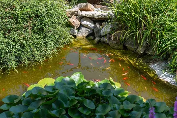 Porec Villa with Pool & Space for 16