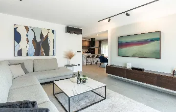 Villa with Private Heated Pool in Novigrad