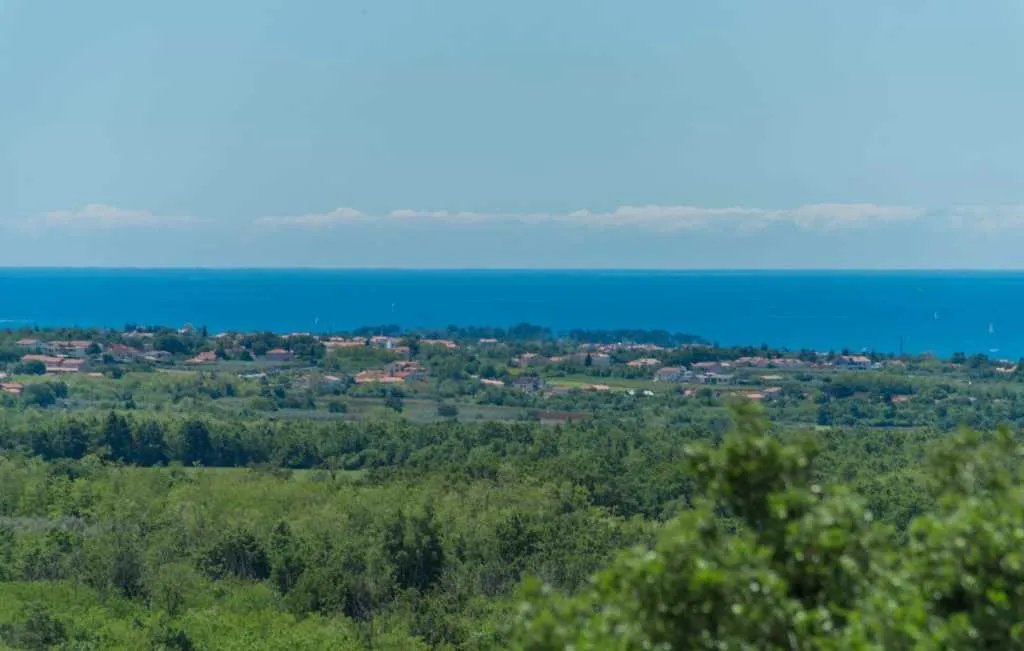 4-Bedroom Villa with Private Pool in Kaštelir