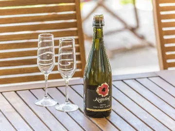 Villa with Private Pool and Garden in Drenje