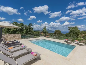 Villa with Private Pool and Garden in Drenje