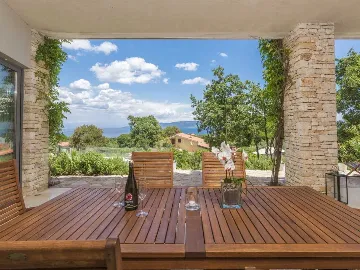 Villa with Private Pool and Garden in Drenje